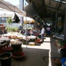 임실고등학교 이미지