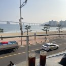 카페리코 | 광안리 리코리카 오션뷰 카페 내돈내산 후기