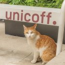 PARTNER SHOP(파트너 샵) 이미지