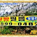 로마모텔 이미지