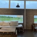 HaRi Grooming(하리애견) | 애견동반여행, 도기더스테이 인근 카페드하리 후기