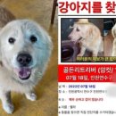 남성건강원 - 고창군 학천로 4 | 남성건강원