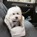 페츠런 | 강아지 데리고 택시 타기, 펫택시 장단점