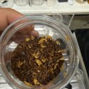 [홈카페/드립커피]V60 네오 레시피 테츠 카츠야 10 푸어, 커피 초보가 그냥 따라한 월드 챔피언 핸드드립