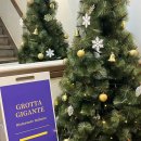 대청본가 이미지