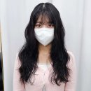 의진헤어 네이버블로그