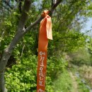 호수길 걷기명상 | 🚶 대청호오백리길 4구간 역방향 걷기｜명상정원에서 잠깐 쉬어가기