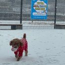 면목체육공원 이미지