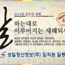 성일스티카