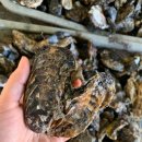 명정수산 이미지