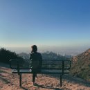 할리우드 이미지