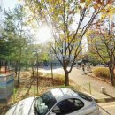 벌말로129번길 이미지