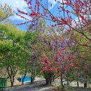 화악산장 이미지