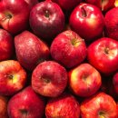 아울렛 안경 이미지