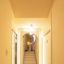 일루고짐 이미지