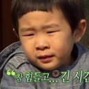 미화전자개발 | 로스쿨 2학년 리뷰