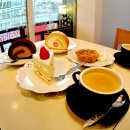 달코마이 이미지