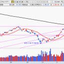 세화코리아 이미지