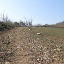 선명농장 이미지