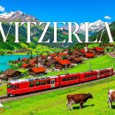 알프스비디오 이미지