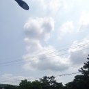 이조3리 네이버블로그