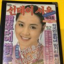 신논현역 소주 한잔 하기 좋은 송씨해물점 내돈내산 후기