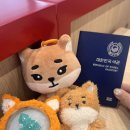 대전지쿠터 | 데이식스 월드투어 [마닐라 0222] [대전 첫 콘 0302] 후기