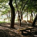 근로복지공단 경기요양병원 | [경기도 화성시 요양원 요양병원 추천, 가격, 장소] 근로복지공단 경기요양병원 체계적 재활 치료와...