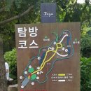 비자곶 | 제주 비자림과 우도 후기 ~