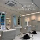 무실택지2 능라동길 | 원주 무실동 미용실 로움헤어 원주무실센텀점 추천 초등학생 남자 펌 후기