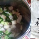 증도 우전리 팽나무 이미지