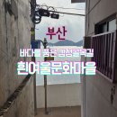 77계단과 송도골목길 | 부산 가볼만한 감성 골목길투어, 주차장정보 및 공사기간 흰여울문화마을