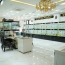 애견명가 이미지