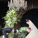 웨스턴베니비스 이미지