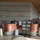 보배펫 | 경주 애견동반 호텔 키녹 방문 및 추천 후기!