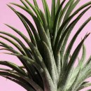 어썸글로우 이미지