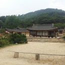 명재나물