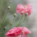 무드인디고 이미지