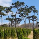 행정사사무소 휴림 이미지