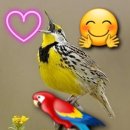 고성천진한신더휴부동산 공인중개사사무소 이미지