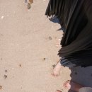 생활속의 인문학 2강(잃어버린 호기심을 찾아서) | 오프날 써보는 책(들) 후기