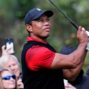 스크린골프 PGA 이미지