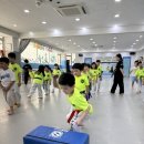 품다태권도장 - 용인시 기흥구 신촌로47번길 6 | 품다태권도장