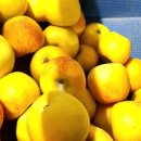 김진석자동차병원 이미지