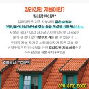 엘정형외과의원 이미지