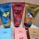 에스와이티 이미지