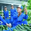 카페인24북