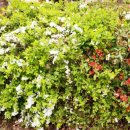 풍암국민체육센터 이미지