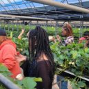 나나랜드 이미지