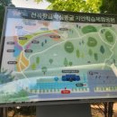 동해시-25 이미지